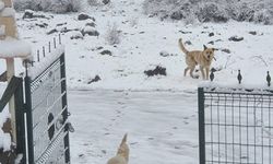 Ankara'ya nisan ayında kar yağdı