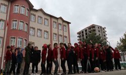 Baharın habercisi leylekler bu yıl gelmedi, öğrenciler hasretle yollarını gözlemeye başladı