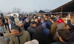 Hayvan pazarında hararetli pazarlık kamerada