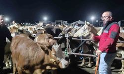 İç Anadolu'nun en büyük hayvan pazarında yoğun kurban mesaisi başladı