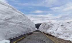 Ordu'nun yükseklerinde nisan sonunda 4 metre kar