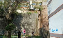 Ot toplamak istedi, 5 metreden aşağı düştü