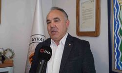 Zeytinyağında tarihi adım