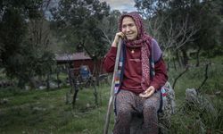 Çobanların karada başlayan göçü, denizde devam eden sıra dışı yolculuğa dönüşüyor