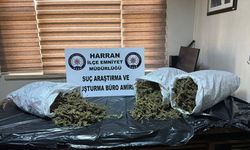 Şanlıurfa'da 8 kilo 240 gram esrar ele geçirildi