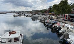 Tekirdağ'da küçük teknelerle avlanan istavrit tezgahların gözdesi
