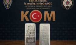 Şırnak'ta 4,3 milyonluk kaçakçılık engellendi: 2 şüpheli tutuklandı, 46 şüpheliye işlem yapıldı