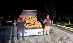 Van'da kaçak avlanan 800 kilo balık ele geçirildi