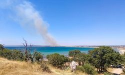 Çanakkale'de tarım arazisinde çıkan yangın kontrol altına alındı