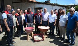 Edirne'de ipekböceği yetiştiren kadın üreticiler yaş kozaları topladı
