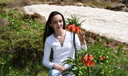 Hakkari dağlarında açan ters laleler ilgi odağı oldu