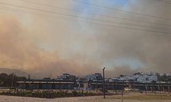 İzmir'de ziraat alanından ormana sıçrayan yangına müdahale ediliyor