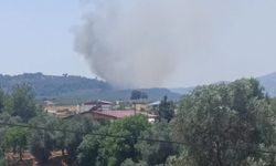 Muğla'nın Seydikemer ilçesinde orman yangını çıktı