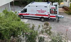 Dut toplarken ağaçtan düşüp yaralandı