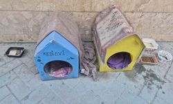 Kediler için yaptığı evler için vicdanlara seslendi, 'Lütfen dokunmayalım'
