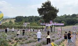 Osmaniye'de mis kokulu lavantalar arasında renkli festival