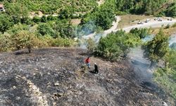 Adana'nın Feke ilçesinde çıkan orman yangını kontrol altında