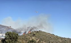 Bodrum'da makilik alanda çıkan yangına müdahale ediliyor
