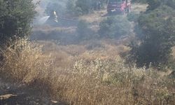 Çanakkale'de tarım arazisinde çıkan yangın söndürüldü