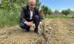 Hakkarili çiftçi ata tohumlarını koruyup verimli ürünler yetiştiriyor