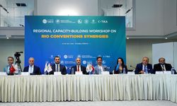 İstanbul'da 'Rio Sözleşmeleri Sinerjileri Üzerine Bölgesel Kapasite Geliştirme Çalıştayı' düzenlendi
