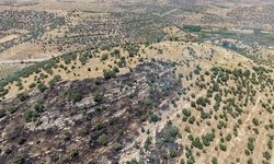 Mardin'de çıkan orman yangını söndürüldü