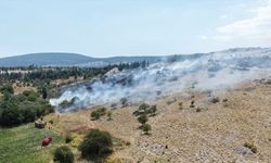 Muğla'da orman ve tarım alanında çıkan yangına müdahale ediliyor