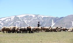Yazın ortasında soba yakarak ısınıyorlar