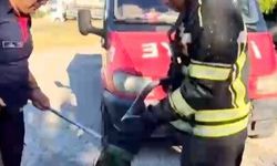 Evin bahçesine giren yılan itfaiye ekiplerini peşinden koşturdu