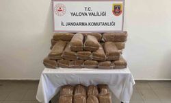Yalova'da 160 kilo kaçak tütün ele geçirildi