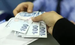 Kırsaldaki üreticilere haziranda IPARD-III Programı kapsamında 315,7 milyon lira ödendi