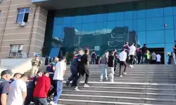 Jandarma 12 ilde 12 ayrı organize suç örgütüne operasyon düzenledi