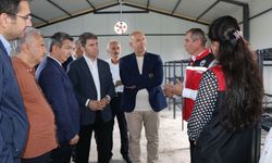 Amasya'da ipek böcekçiliğinin canlandırılması için üreticilere destek verildi