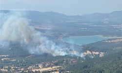 Çanakkale'de zirai alanda çıkan yangın kontrol altına alındı
