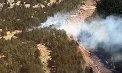 GÜNCELLEME - Muğla'da çıkan orman yangını kontrol altına alındı