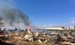 Mersin'de makilik alanda çıkan yangın kontrol altına alındı