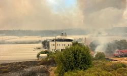Muğla'da başladıktan sonra Antalya'ya sıçrayan orman yangınına müdahale ediliyor