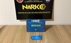 Ordu'da uyuşturucu operasyonunda yakalanan 3 şüpheli tutuklandı