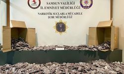 Samsun'da 46 bin uyuşturucu hap ele geçirildi