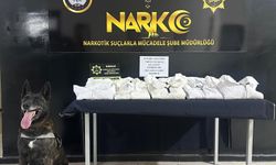 Şırnak'ta valizlerinde uyuşturucu bulunan yabancı uyruklu tutuklandı