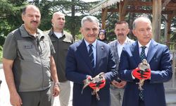 Tarım ve Orman Bakan Yardımcısı Polat, Yozgat'ta Keklik Üretim İstasyonu'nu ziyaret etti
