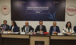 Tarım ve Orman Bakanı Yumaklı, Aydın'da incir hasadında konuştu: