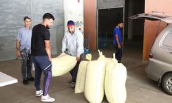 TMO, Ordu ve Giresun'da fındık alımlarına başladı