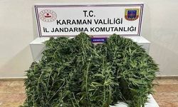 Karaman'da jandarmanın yakaladığı 44 şahıstan 9'u tutuklandı