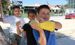 Üç kafadar çocuktan köşe başında limonata satışı