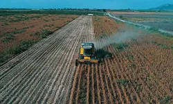 Çiftçilerin hesaplarına 195,6 milyon lira tarımsal destekleme ödemesi aktarılıyor