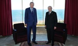 Cumhurbaşkanı Erdoğan, MHP Genel Başkanı Bahçeli ile görüştü