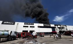 Mersin'de kimya fabrikasında çıkan yangın söndürüldü