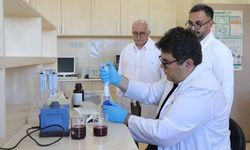 Siyah havuçlu şalgam suyundan izole edilen bakterinin kanser hücrelerini azalttığı belirlendi
