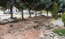 Ankara'da yol genişletme çalışmalarında 40 ağacın kesilmesi kararına tepki